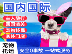 奇台江布拉克机场快运国际宠物托运 【国